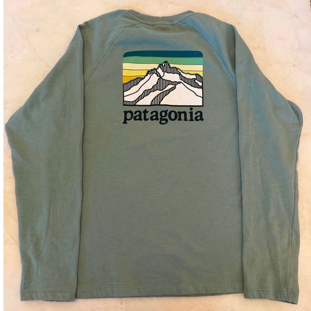 Patagonia Mens Organic Cotton LS Mountain Graphic Sweatshirt Sage Green L